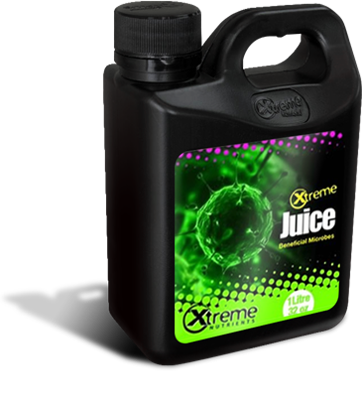 XTREME JUiCE 16 oz
